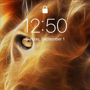 Meet your Posher, Gino